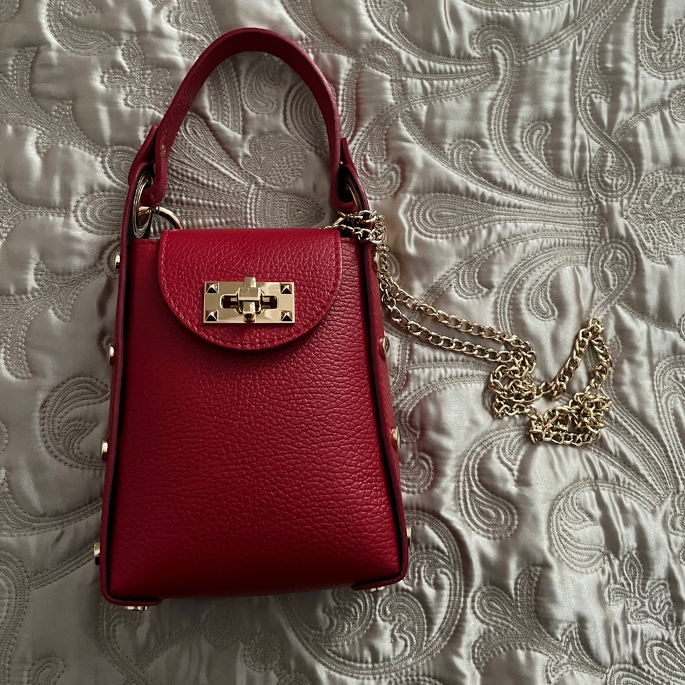Anna Paola Gold & Red Leather Crossbody Bag